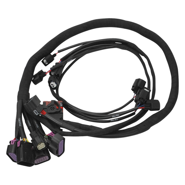 Edelbrock 36160 Pro-Flo 4+ EFI Engine Management System for #36160 15-17 Ford Coyote with Tablet - Truck Part Superstore