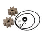 Overhaul Kit for EZ-8 Fuel Transfer Pump, Mfg before 2016 - Truck Part Superstore