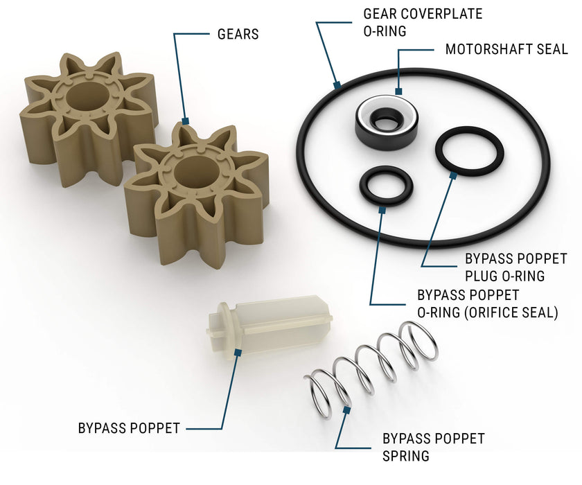 Complete Overhaul Kit for G8P Portable Fuel Transfer Pump - Truck Part Superstore