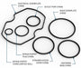 Replacement Seal Kit for V25 Fuel Transfer Pumps - Truck Part Superstore