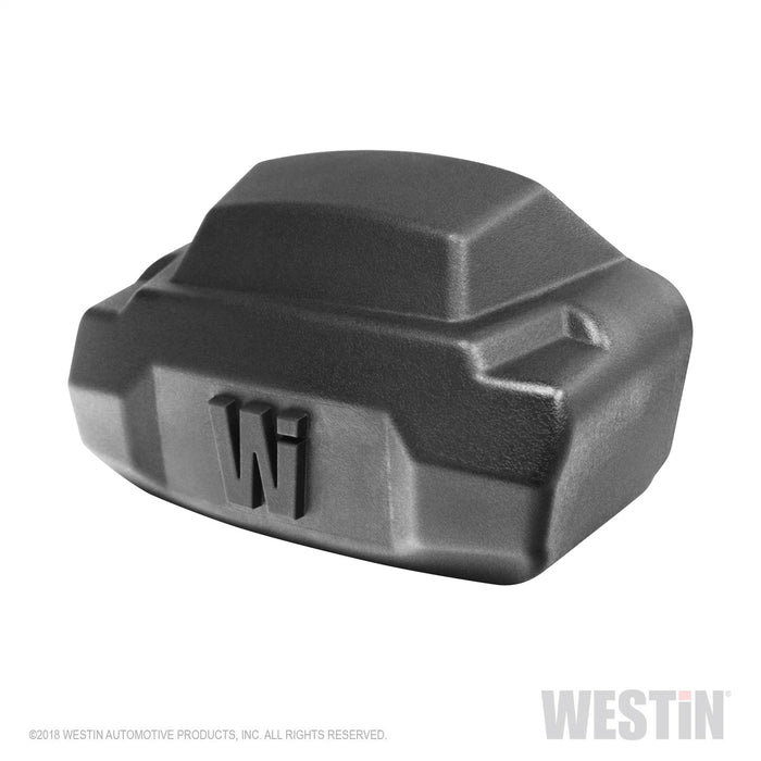 Westin 28-51003 R5 Nerf Step Bar LED Light Kit - Truck Part Superstore