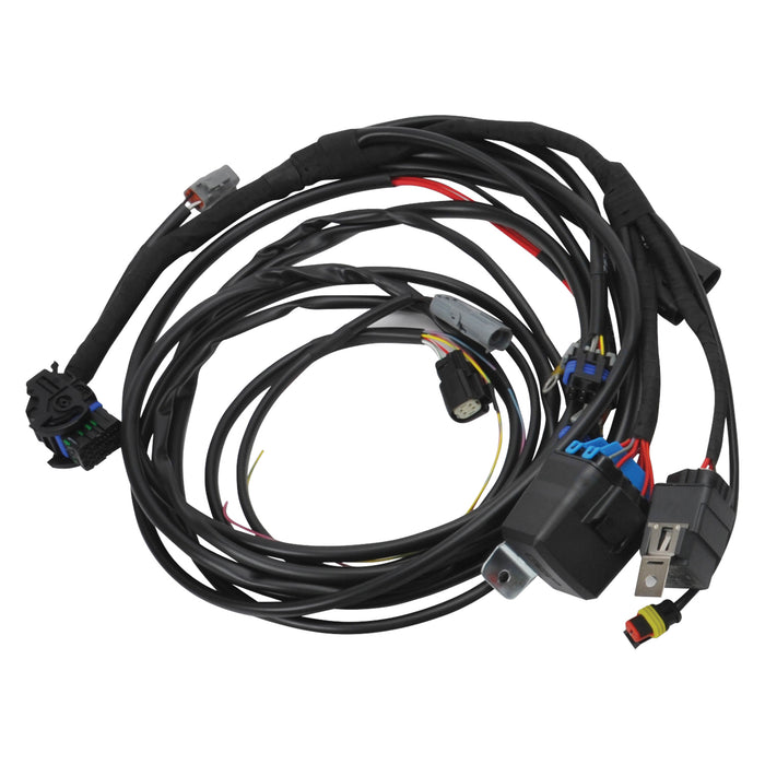 Edelbrock 36110 Pro-Flo 4+ #36110 EFI engine management for 2011-14 Ford Coyote Engine Swap - Truck Part Superstore