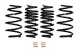 Eibach Springs E10-23-030-01-22 PRO-KIT Performance Springs (Set of 4 Springs) - Truck Part Superstore