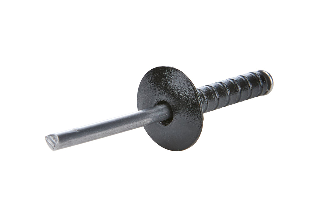 ALLSTAR PERFORMANCE 18095 Lg Hd Rivet Black 250pk Multi Grip