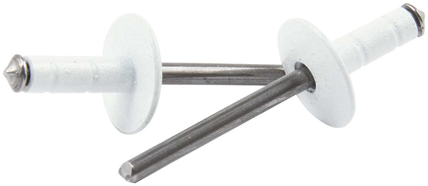 ALLSTAR PERFORMANCE 18096 Lg Hd Rivet White 250pk Multi Grip