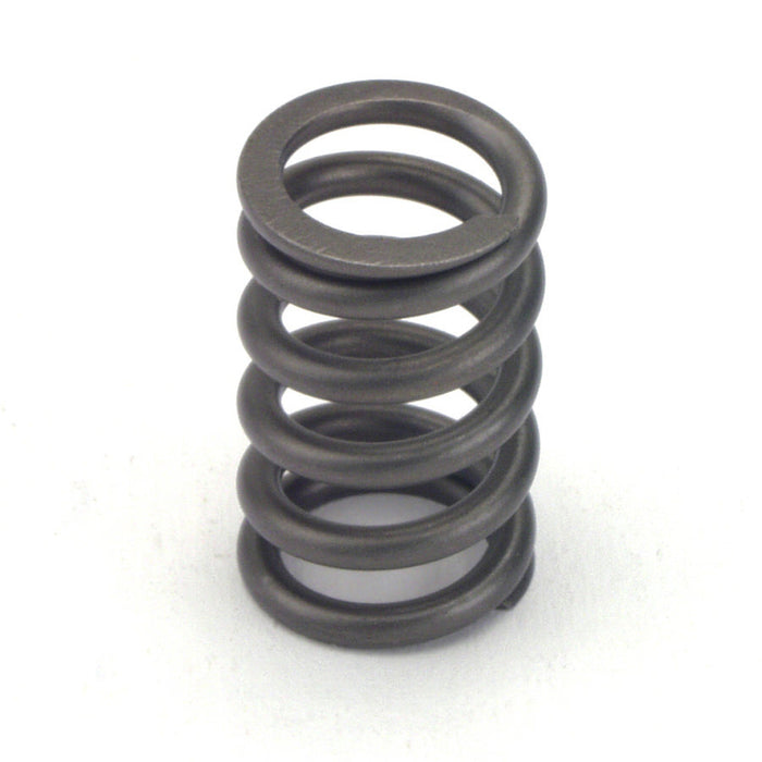 CROWER 68190-24 Valve Springs - Single 1.090