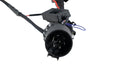 Diode Dynamics DD4146 C1R 7-pin Single Output Trailer Harness Diode Dynamics - Truck Part Superstore