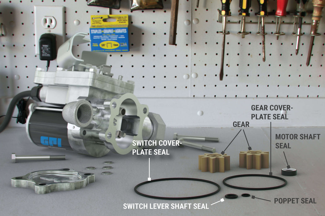 Overhaul Kit for EZ-8 Fuel Transfer Pump, Mfg 2016 and later - Truck Part Superstore
