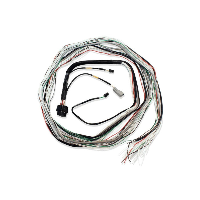 FUELTECH USA 2001004001 FT600 Harness 10ft