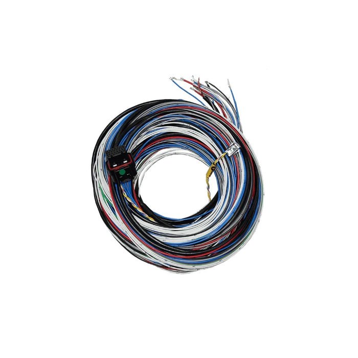 FUELTECH USA 2001005569 FT450/550 A Harness 10ft