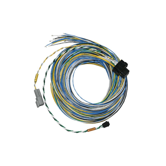 FUELTECH USA 2001005571 FT550 B Harness 10ft