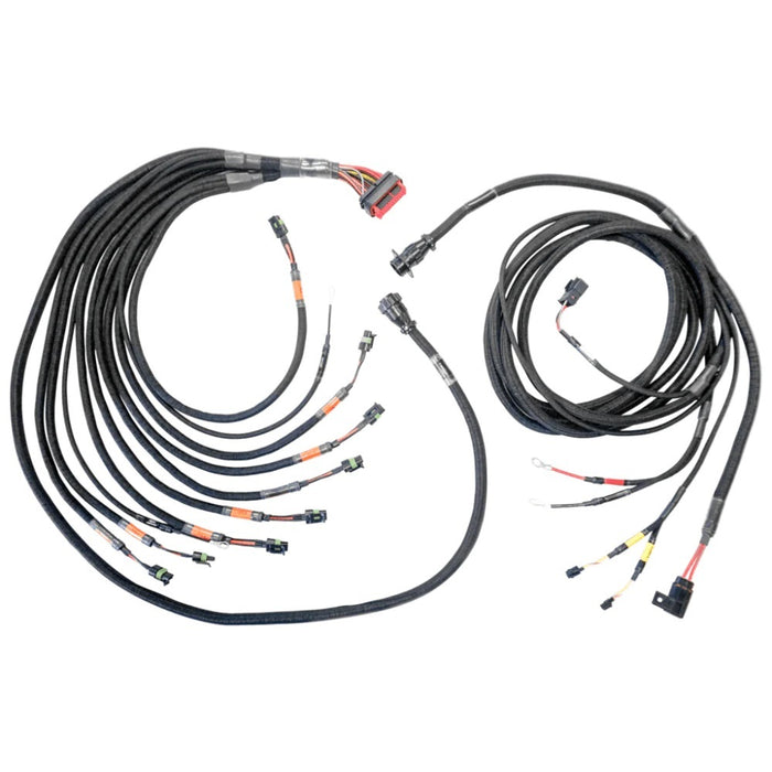 FUELTECH USA 2002100142 PRO550/600 FTSPARK-8 Harness