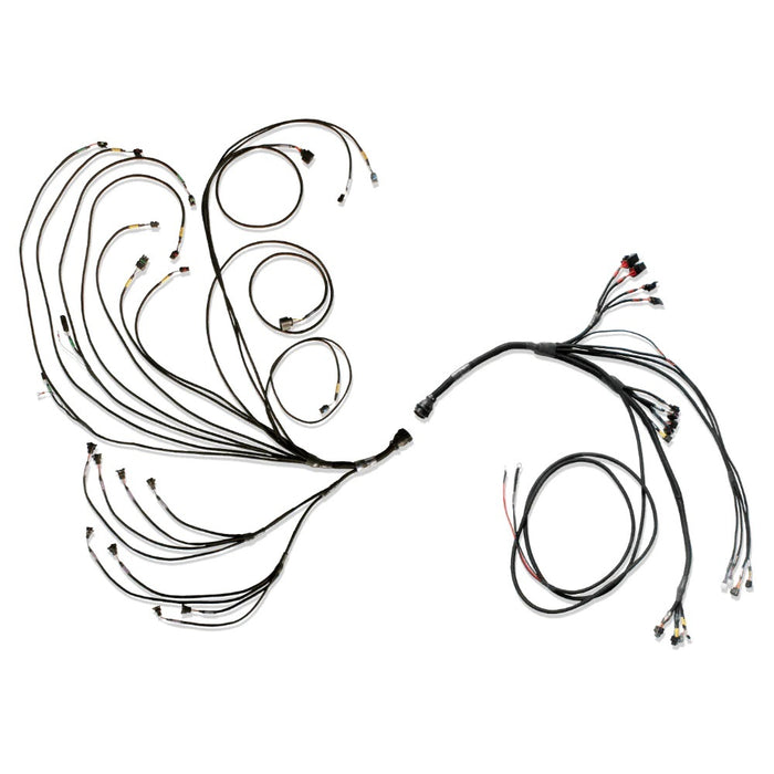 FUELTECH USA 3026109080 PRO600 V8 Complete Wiring Harness