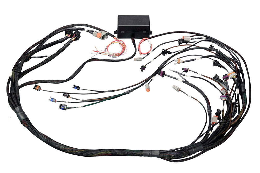 HALTECH HT-141364 Elite 2000/2500 Non DBW Terminated Wire Harness