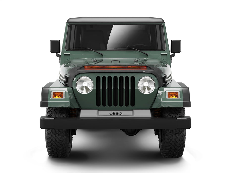 Husky Liners 2820091 Aeroskin Lightshield PRO Hood Protector for Select Jeep TJ, Jeep Wrangler