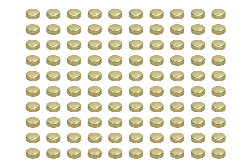PIONEER EPC-41-B-100 Expansion Plugs - 1-5/8 Brass (100pk)