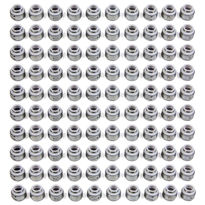PIONEER OS-1066-100 Teflon Oil Seals - 11/32 (100)