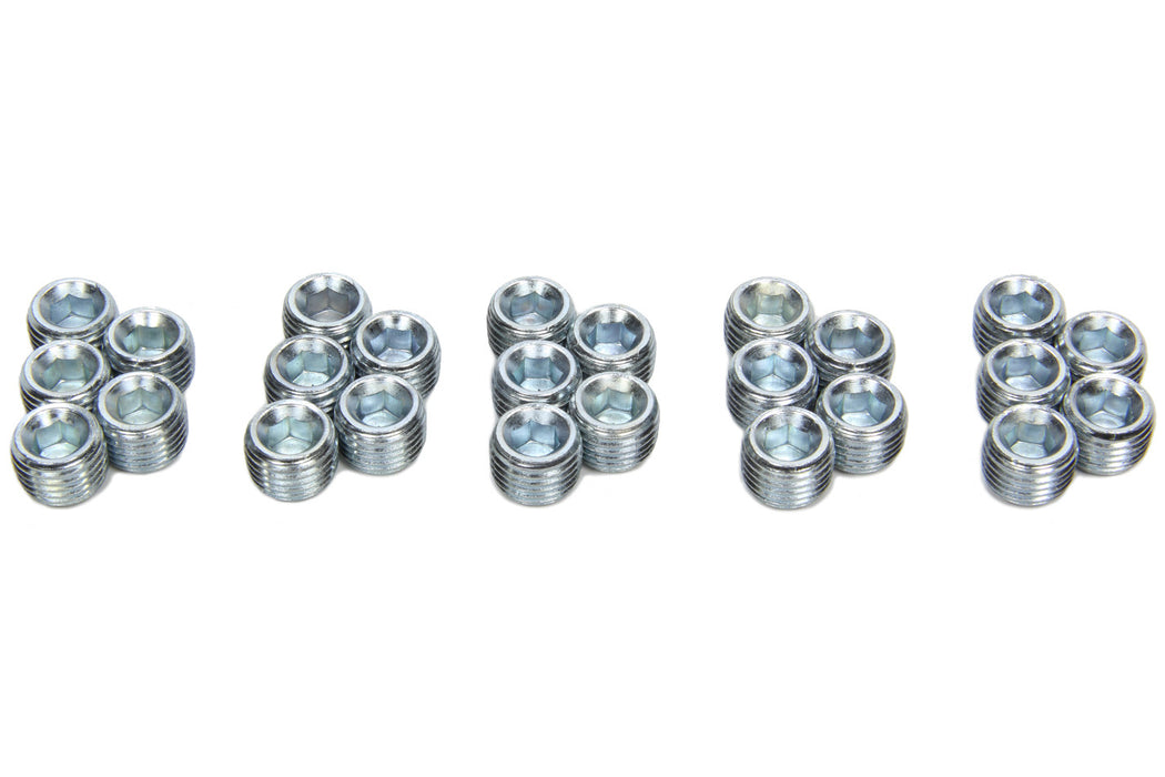 PIONEER PP-454-25 1/4-NPT Pipe Plugs 25pk w/Oil Relief Hole