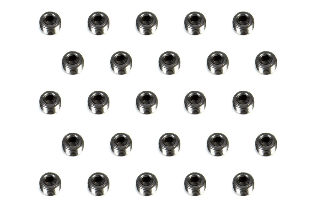 PIONEER PP-584-25 1/4 Pipe Plug (25pk) Hex Socket