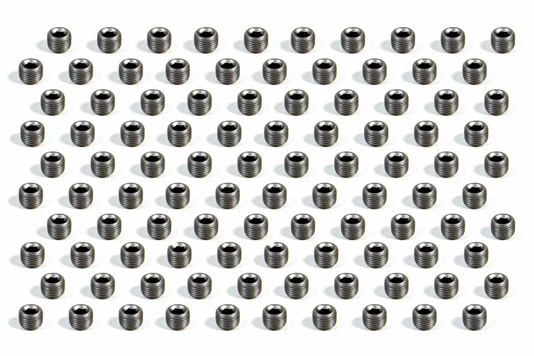 PIONEER PP-638-100 Pipe Plug - 1/8 (100)