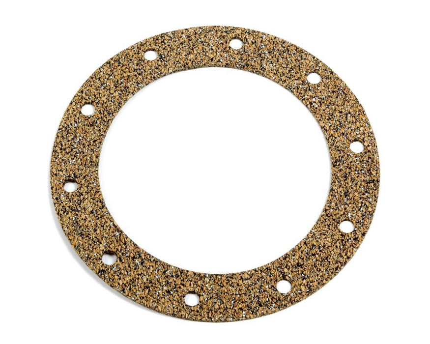 PYROTECT RCG10-4.5 Gasket 10 Bolt Filler Neck