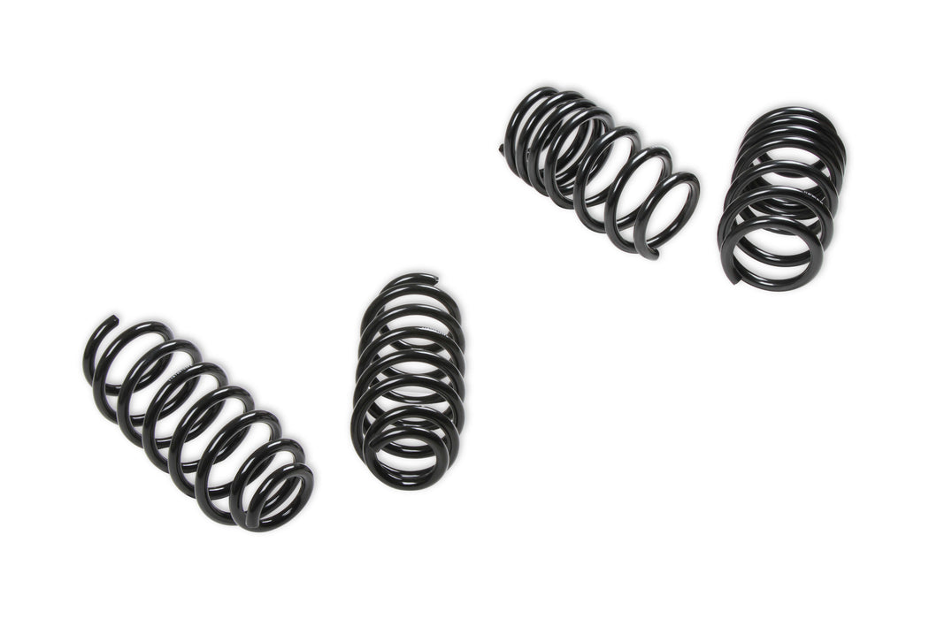 REKUDO RK200-10 18-20 Tesla Model 3 Drop Springs
