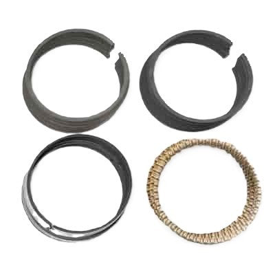 TOTAL SEAL CR8794-25 CR Piston Ring Set 3.805 Bore 1.5 1.5 3.0mm