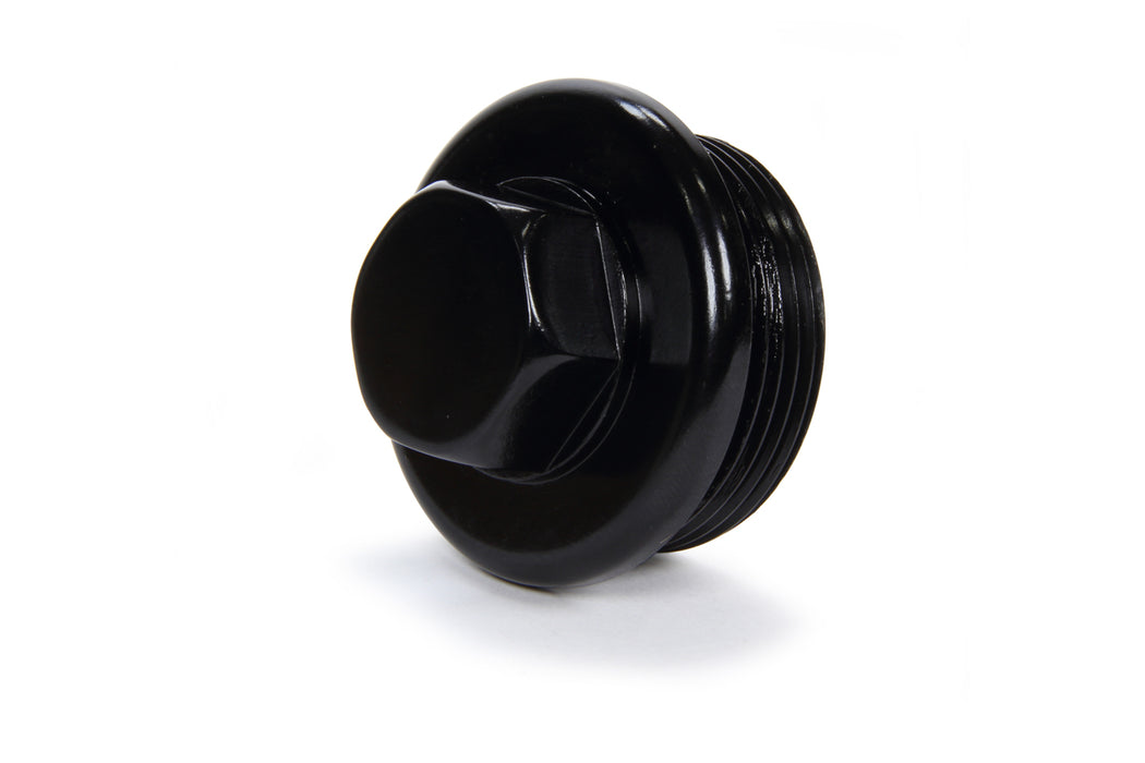 WINTERS 3261 O-Ring Insp Plug 1-7/8in