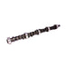 Lunati 10100701 Voodoo 213/220 Hydraulic Flat Cam for AMC 290-401 V8 - Truck Part Superstore