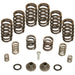 BD Diesel 1040185 Governor Spring Kit; P7100 Pump; 4000 RPM; Incl. Intake Valve Springs/Hardware; - Truck Part Superstore