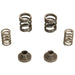 BD Diesel 1040187 Governor Spring Kit; P7100 Pump; 3000 RPM; Incl. Intake Valve Springs/Hardware; - Truck Part Superstore