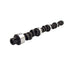 Lunati 10510700 Voodoo 207/213 Hydraulic Flat Cam for Pontiac V8 - Truck Part Superstore
