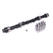 Lunati 10700902LK Good cam for Baby Grand racing in oval track applications. Rough idle. - Truck Part Superstore