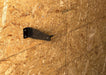 Rugged Ridge 12107.10 Wall Mount Door Holder; - Truck Part Superstore