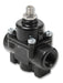 Earl's Performance 12850ERL Carbureted Fuel Pressure Regulator - Truck Part Superstore