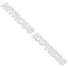 Nitrous Express 15984 NX WINDSHIELD DECAL 40in. x 3in. - Truck Part Superstore