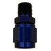 Nitrous Express 16182 4ANFEMALE SWIVEL TO 1/8 NPT - Truck Part Superstore