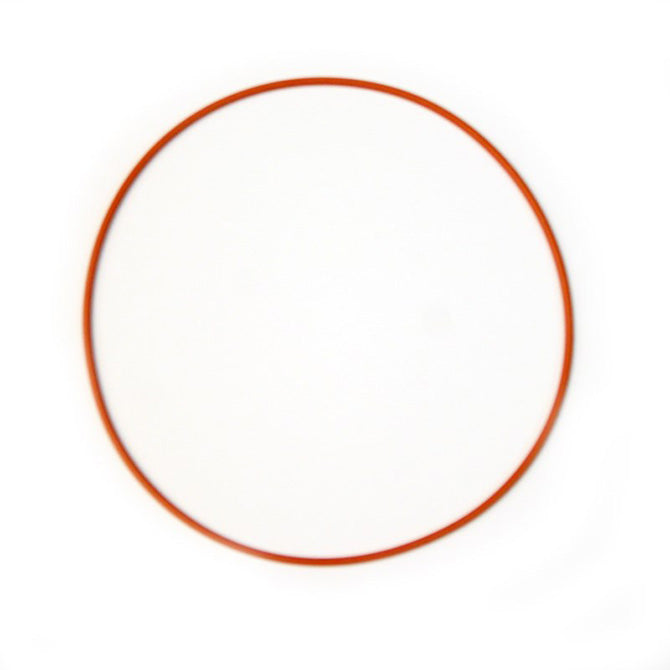 Nitrous Express 16249 Replacement O-ring gasket for Coyote Plate - Truck Part Superstore