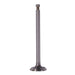 Omix 17417.01 Intake Valve; - Truck Part Superstore