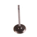 Omix 17417.08 Intake Valve; Standard; - Truck Part Superstore