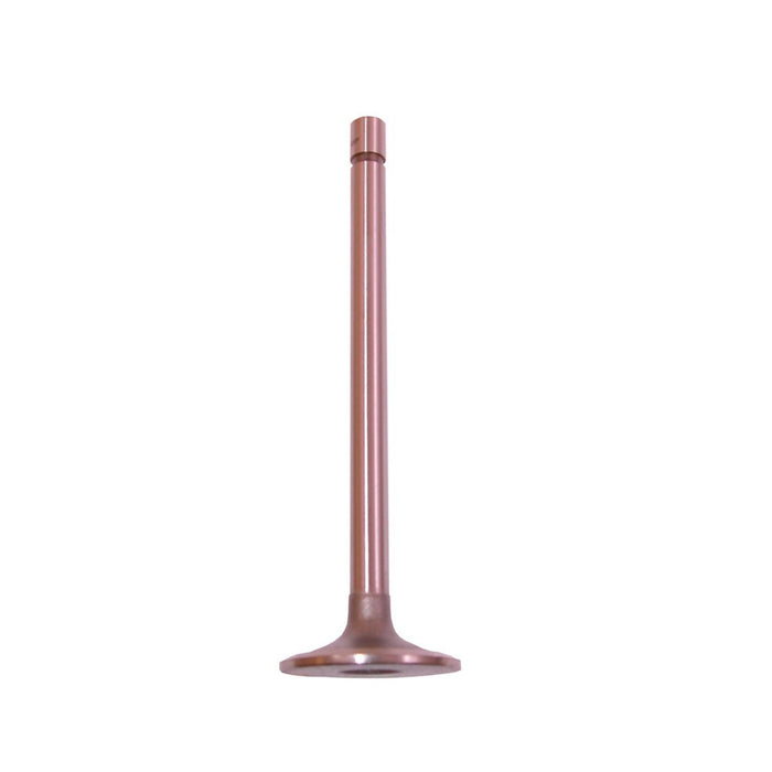 Omix 17417.13 Intake Valve; - Truck Part Superstore
