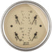 AutoMeter 1812 3-3/8in. QUAD GAUGE; 100 PSI/100-250 deg.F/8-18V/240-33 O; ANTIQUE BEIGE - Truck Part Superstore