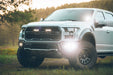 Rigid Industries 41610 17-20 Ford Raptor Fog Light Kit Includes Mounts and 6 D-Series RIGID Industries - Truck Part Superstore