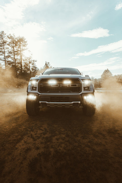 Rigid Industries 41610 17-20 Ford Raptor Fog Light Kit Includes Mounts and 6 D-Series RIGID Industries - Truck Part Superstore