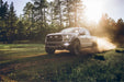 Rigid Industries 41610 17-20 Ford Raptor Fog Light Kit Includes Mounts and 6 D-Series RIGID Industries - Truck Part Superstore