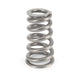 COMP Cams 7228-12 Engine Valve Spring Kit - Truck Part Superstore