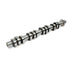 Lunati 21270724R Voodoo 233/245 Right Hydraulic Roller Cam for 4.6/5.4 L Ford Modular 3 Valve - Truck Part Superstore