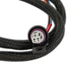 MSD 22721 Pressure Sensor 2 Harness; For PN[7767]; - Truck Part Superstore