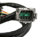 MSD 2275 Sensor 2 Wiring Harness Replacement; For PN[7766]; - Truck Part Superstore