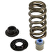 COMP Cams 26125BCS-KIT .585" Lift Beehive Spring Kit for '06-'16 GM 6.6L Duramax Diesel - Truck Part Superstore